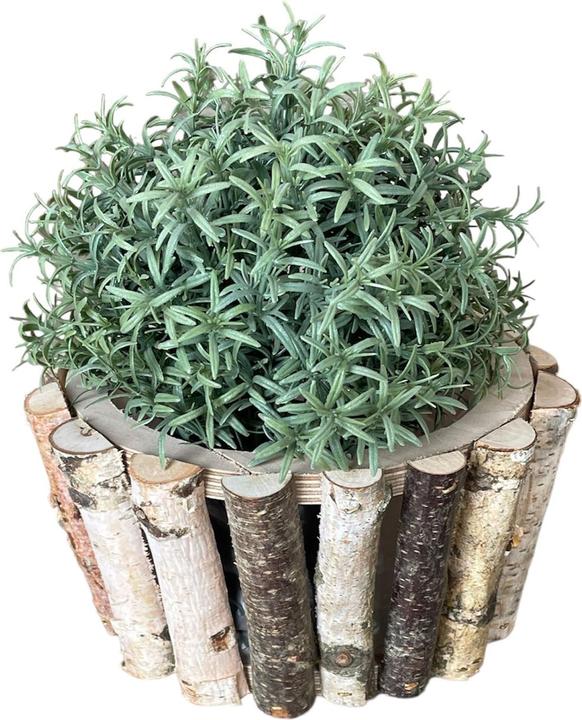 Produktbild Natura Punto Pflanztopf aus Birkenholz, rund (10 cm)