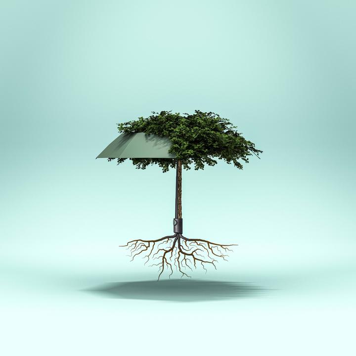 Produktbild Knirps Vision