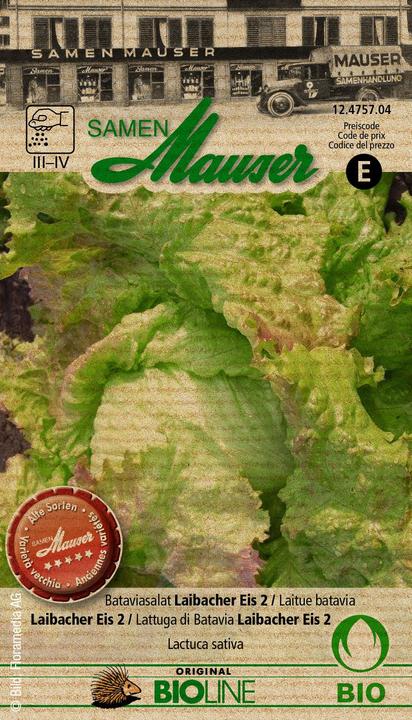Immagine prodotto Samen Mauser Batavia insalata Laibacher gelato 2 (Semi di verdura)