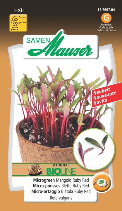 Samen Mauser Microgreen Chard Ruby Red (Vegetable seeds)