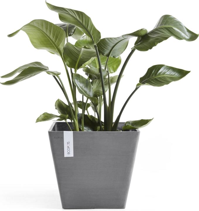 Produktbild Ecopots Rotterdam (50 cm)
