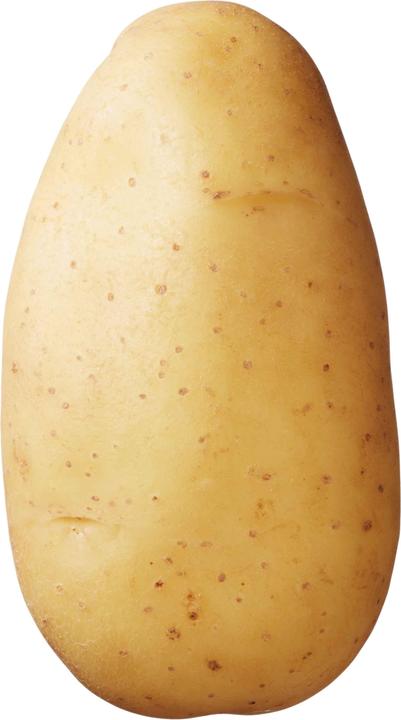 Image du produit Samen Mauser Pomme de terre de semence Erika (Graines de légumes)