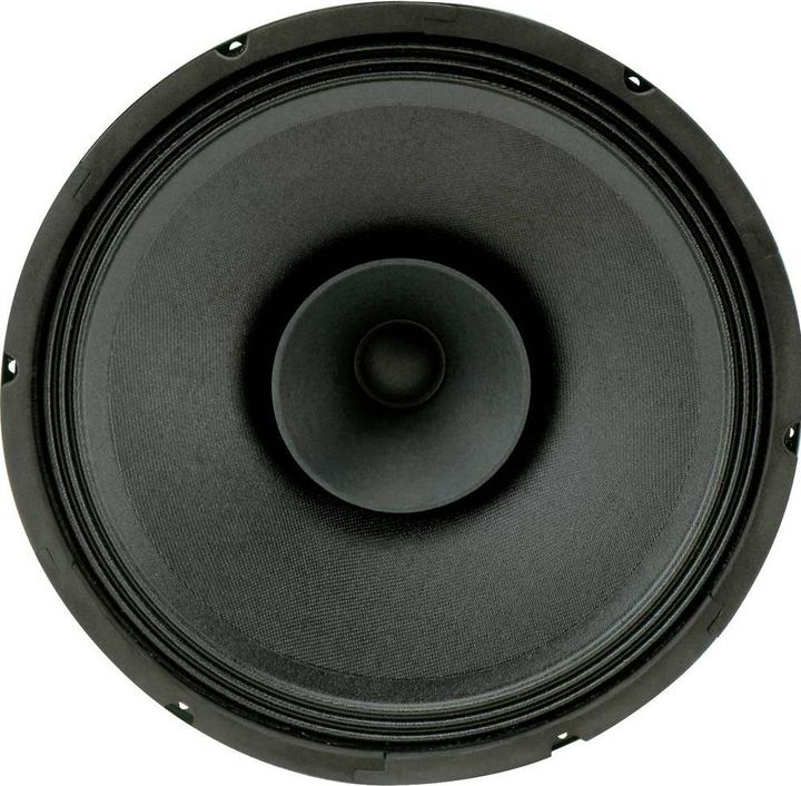 Immagine prodotto Rockwood Altoparlante vuoto PA Bass Fullrange 300 mm per chitarra (1 pz.)
