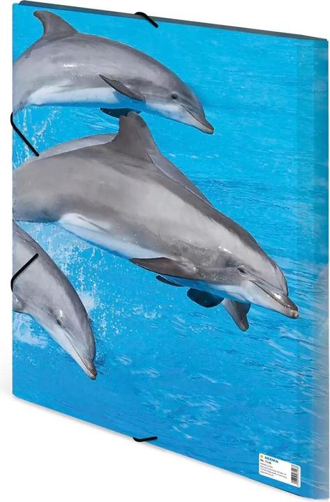 Actual product image HERMA A3 motif folder (A3, 1 x)