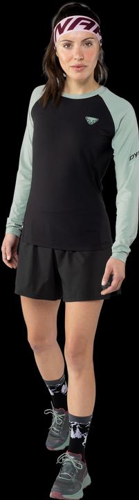 Produktbild Dynafit Alpine Pro Langarmshirt (42, XL)