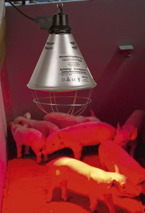 Actual product image Kerbl Infrared radiant warmer for piglets / chicks (without lamp, aluminium shade? 21 cm, cable 2.5 m