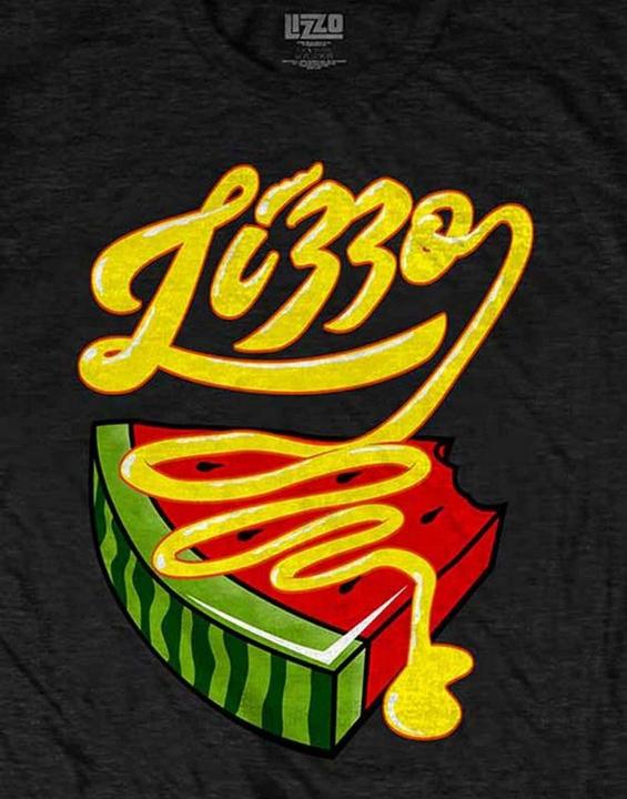 Actual product image Lizzo Unisex Adult Bussin Or Disgustin Cotton T-Shirt (M)