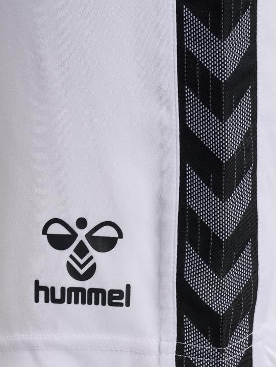 Image du produit hummel Hmlauthentic Pl Shorts (XL)