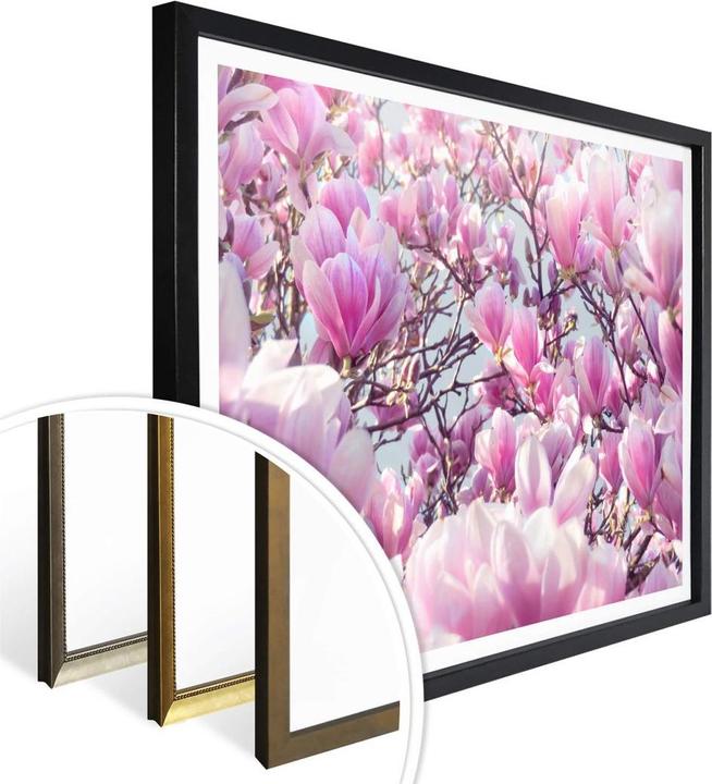 Immagine prodotto Trenddeko Albero di magnolia (30 x 24 cm)