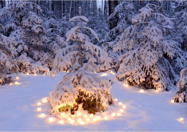 Image du produit Carte de voeux Bougies autour du sapin - Noël - (1 pcs)
