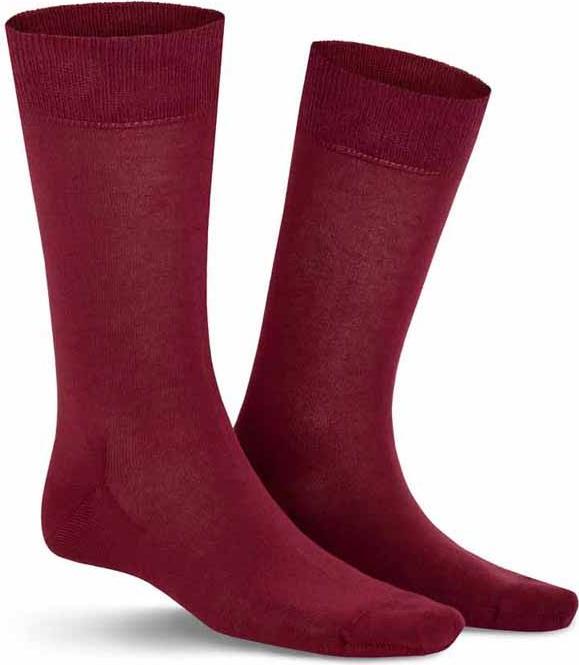 Merlot