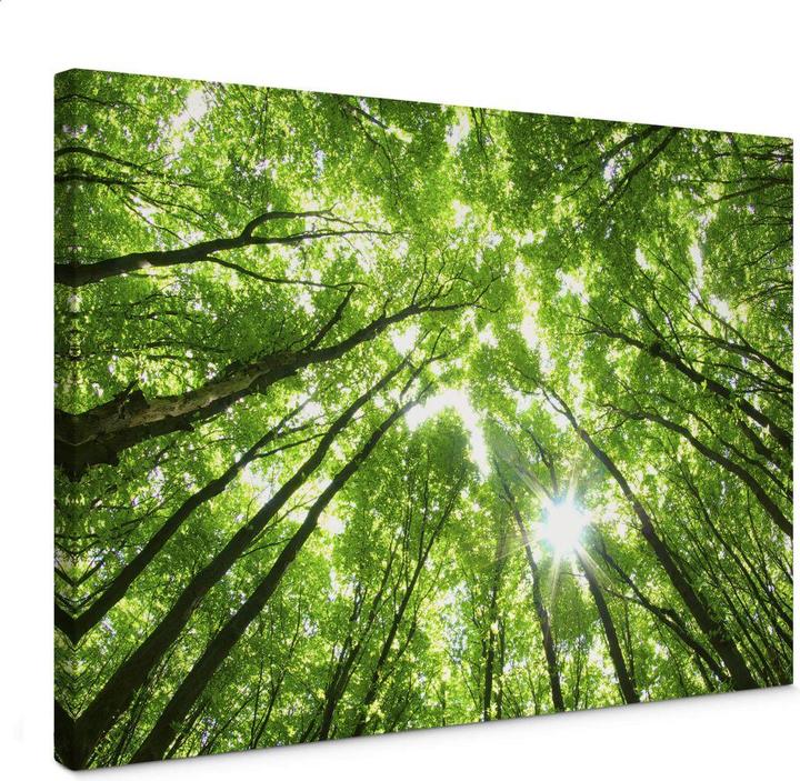 Trenddeko Sunny Forest 2 (45 x 30 cm)