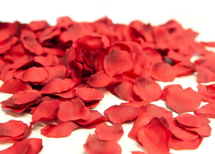 Actual product image Europalms Rose petals (8 cm)