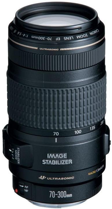 Canon EF 70-300mm, f/4-5.6 IS USM (Canon EF, Plein format)