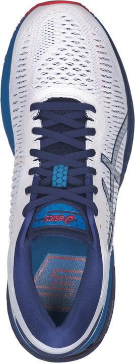 Image du produit ASICS Performance Gel-Kayano 25 (43.5)