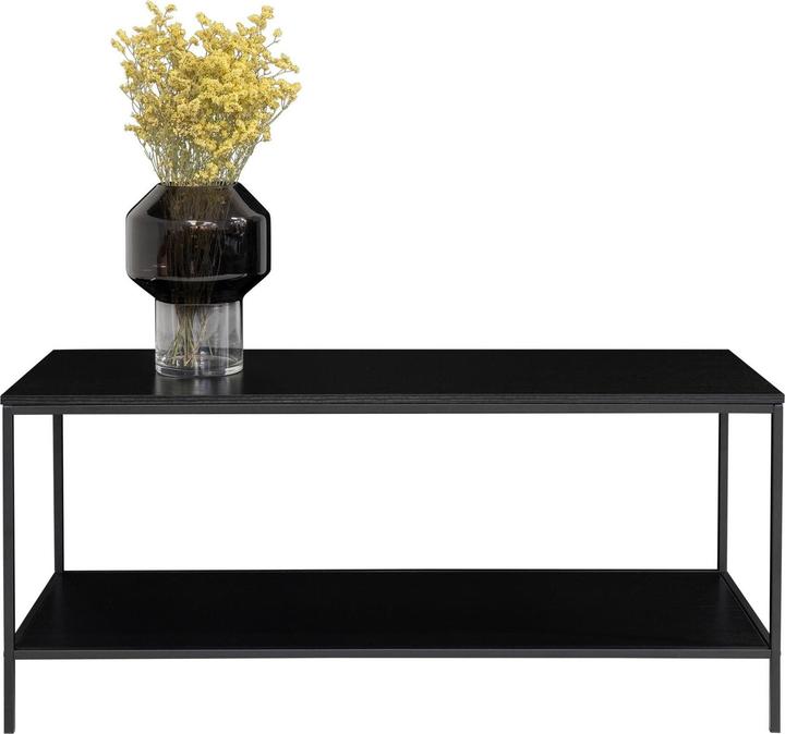 Actual product image House Nordic Vita (100 x 36 x 45 cm)