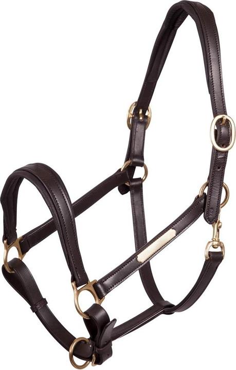 Premiere halfter aus leder equitation