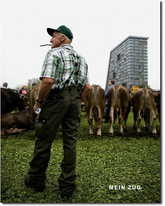 Produktbild Mein Zug (Deutsch, Judith Stadlin, Michael van Orsouw, Frank Fischer, Thomas Heimgartner, Theres Roth-Hunkeler)