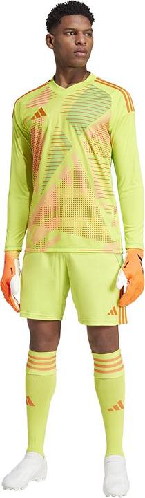 Actual product image adidas TIRO24 SHORT (L)