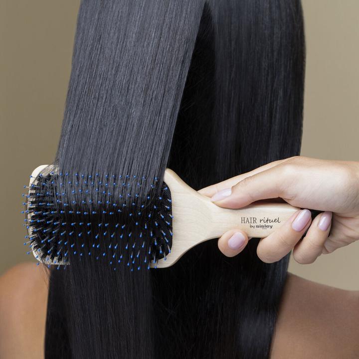 Actual product image Sisley La Brosse Brillance & Douceur