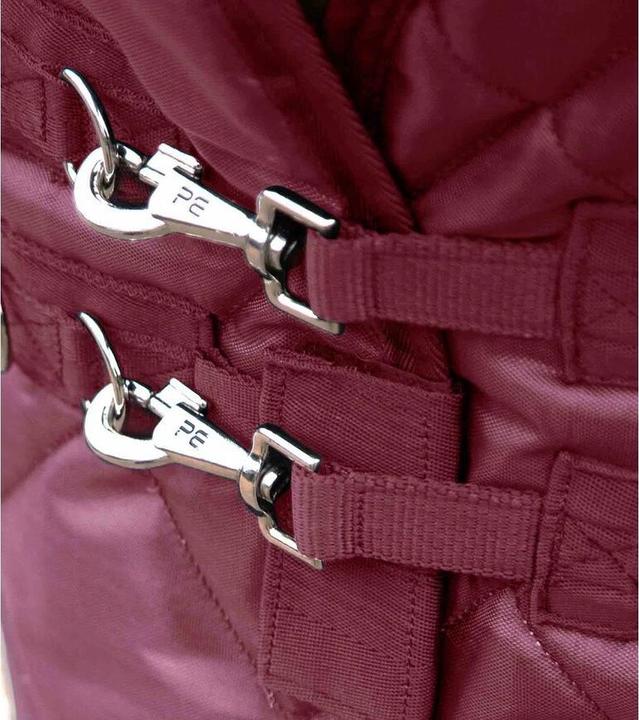 Produktbild Premier Equine Tuscan 200 g (206 cm)