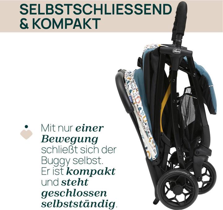 Actual product image Chicco Glee Stroller
