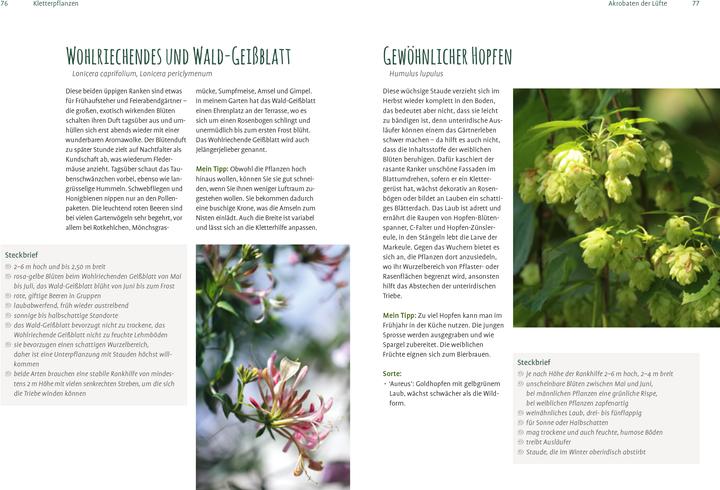 Produktbild Heimische Pflanzen für den Garten (Deutsch, Elke Schwarzer, 2022)