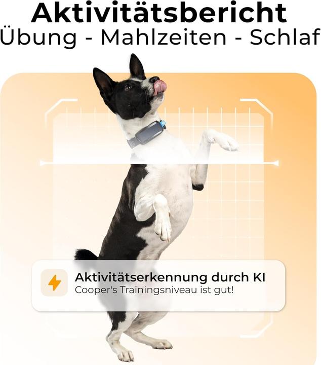 Produktbild Invoxia MiniTailz