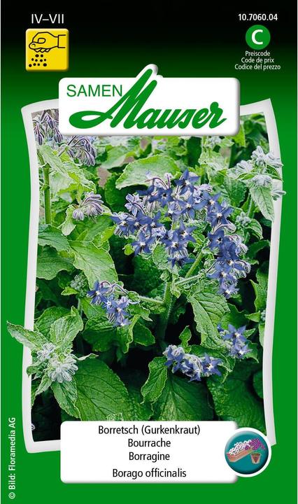 Samen Mauser Borage Cucumber herb (Vegetable seeds)