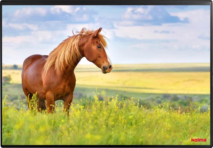 Actual product image Kolma Writing pad poster (horse) 50 x 34 (50 x 34 cm)