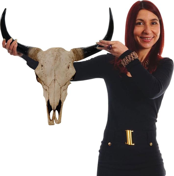 Immagine prodotto JOHN316 Deko Schädel 45cm Stier