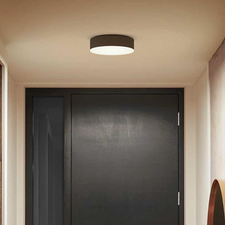 Actual product image Philips Hue White Ambiance Enrave (1200 lm)