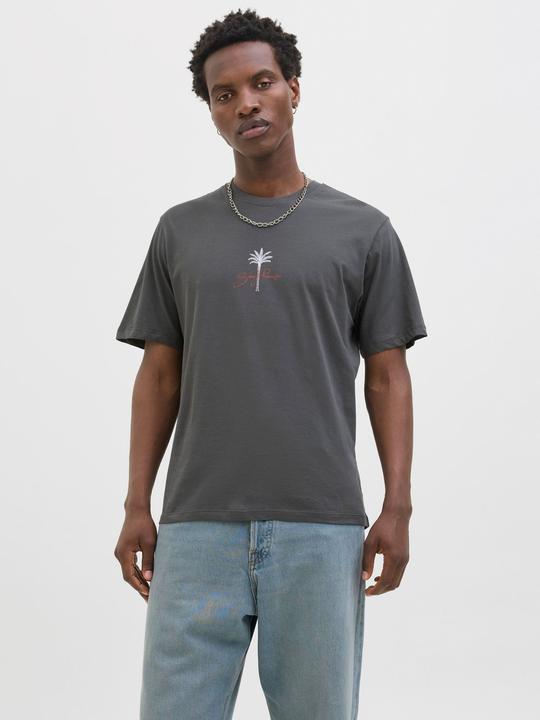Produktbild Jack & Jones Jorbradley Goldengate Tee Ss C.N Stmss25 (XS)