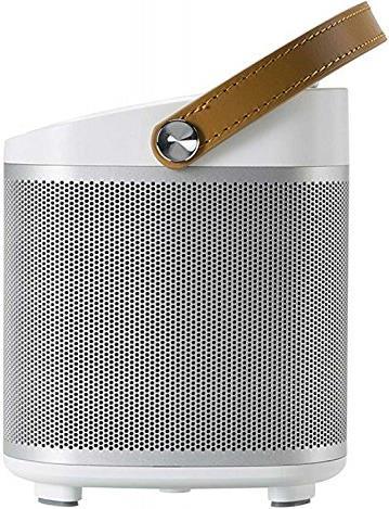 Immagine prodotto Roberts R100 (Corrente elettrica)