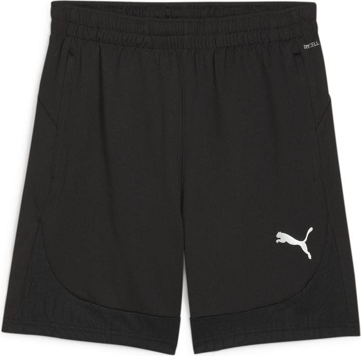 pumablackpumasilver
