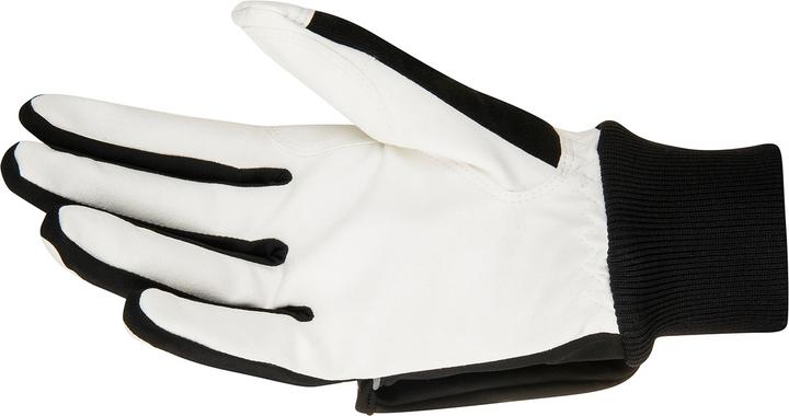Immagine prodotto Daehlie Copertura della gara Glove (10)