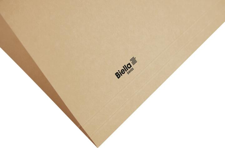 Actual product image Biella VETRO MOBIL suspension files, olive green (A4, 1 x)