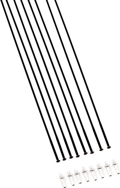Immagine prodotto DT Swiss Kit di raggi per H 1700 Spline 29