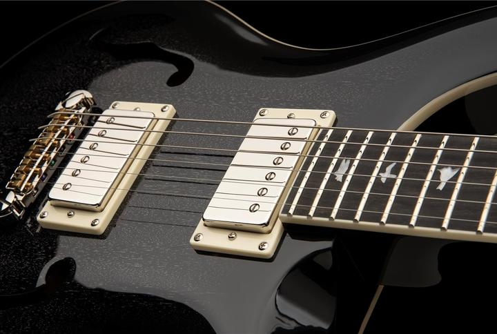 Produktbild PRS SE Hollowbody Standard | Dog Hair Smokeburst (E-Gitarre, Mahagoni, mahogany)