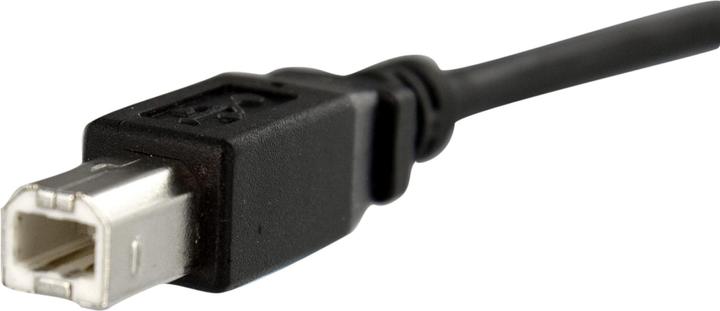 Actual product image StarTech 30 cm USB B to B cable for slotbelch mounting - socket/plug (0.30 m, USB 2.0)