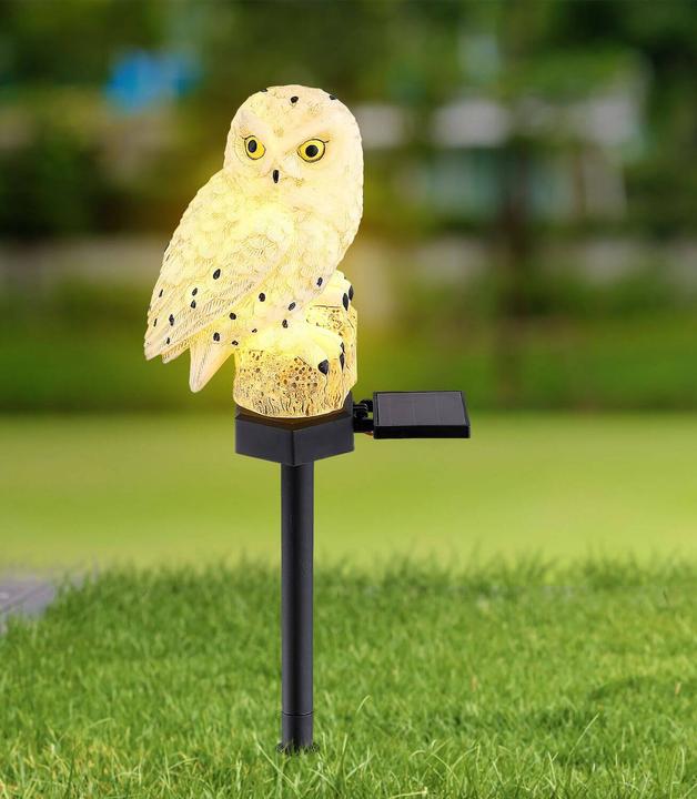 Actual product image Globo Solar light black 1xLED (IP44)