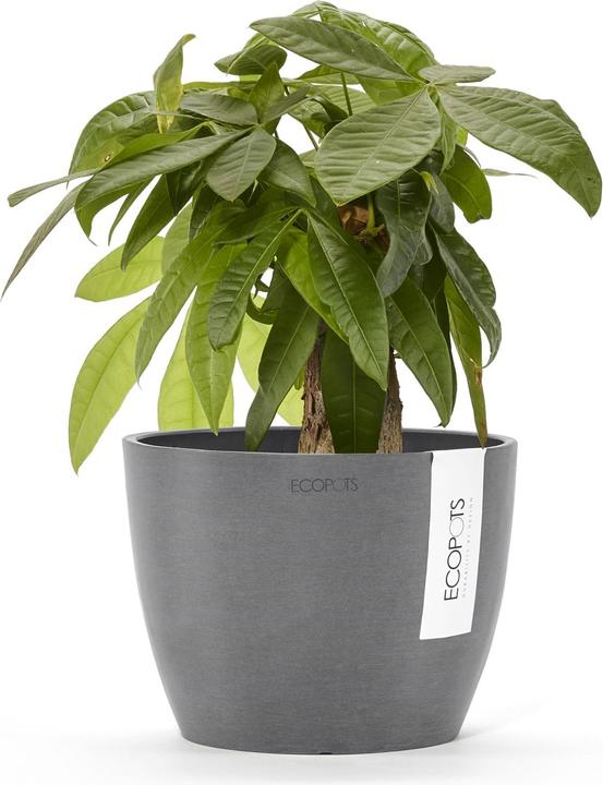 Actual product image Ecopots Stockholm (16 cm)