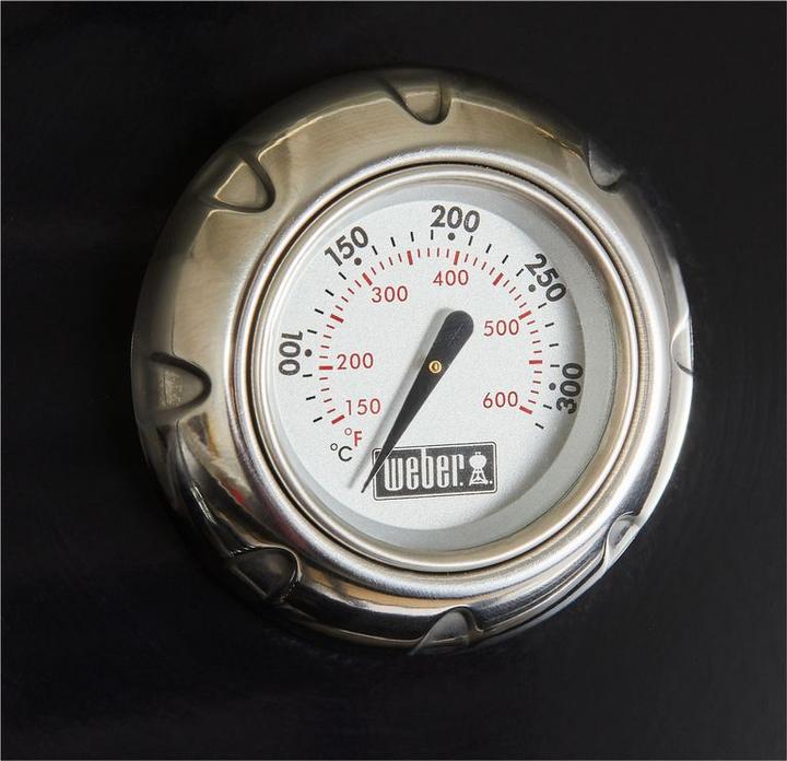 Image du produit Weber Spirit E-210 Classic (7.70 kW)