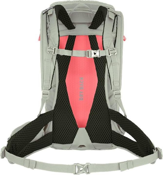 Actual product image Salewa Alp Trainer L Backpack Da (20 l)