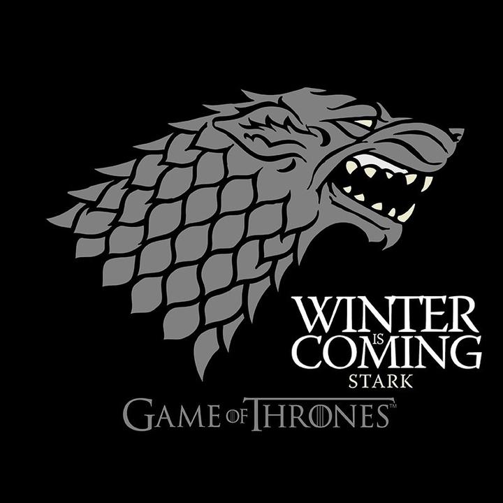 Produktbild ABYstyle GAME OF THRONES - Tshirt Winter is coming man SS black - basic (M)