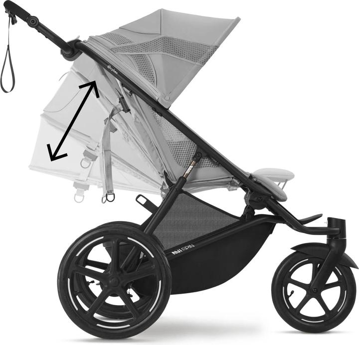 Image du produit Cybex Avi Spin