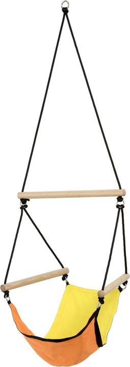 Actual product image Amazonas Swinger (60 kg)