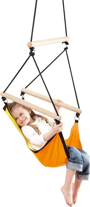 Actual product image Amazonas Swinger (60 kg)