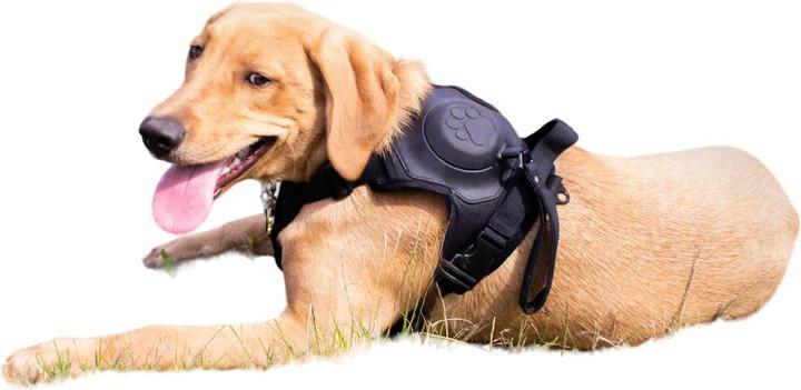 Immagine prodotto Ancol - Ensemble harnais et laisse pour chiens EXTREME HYBRID (M, Cane, Generale)