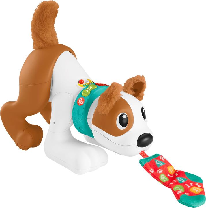 Actual product image Fisher-Price - 123 Crawl With Me Puppy-DU